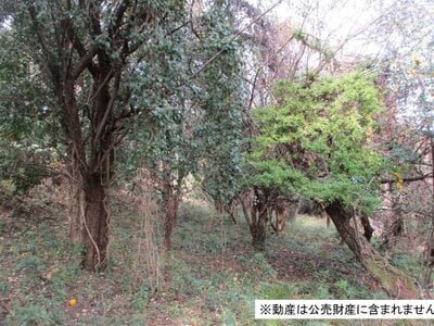 神奈川県秦野市 渋沢駅23分 農地 35万円の国税庁公売物件情報 #1