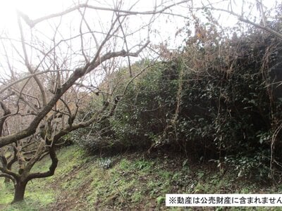 神奈川県秦野市 渋沢駅23分 農地 35万円の国税庁公売物件情報 #2