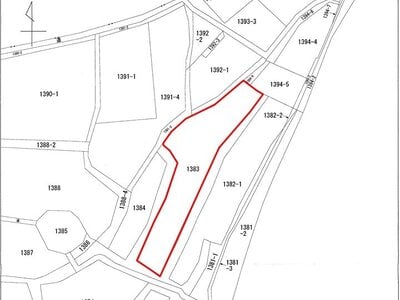 神奈川県秦野市 渋沢駅23分 農地 35万円の国税庁公売物件情報 #3