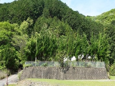 三重県度会郡南伊勢町 阿曽駅 戸建て 52万円の国税庁公売物件情報 #5