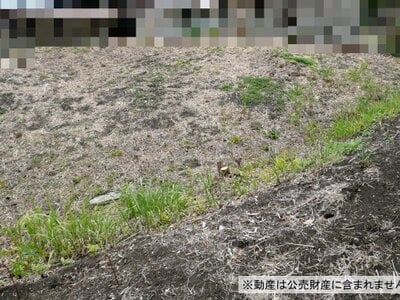 千葉県館山市 那古船形駅17分 農地 55万円の国税庁公売物件情報 #1