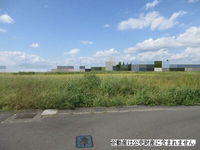 (値下げ) 静岡県藤枝市 藤枝駅26分 農地 65万円の国税庁公売物件情報 #1