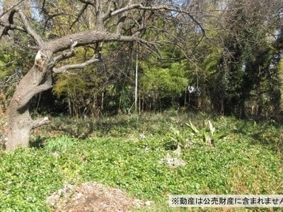 神奈川県茅ヶ崎市 香川駅16分 農地 420万円の国税庁公売物件情報 #1