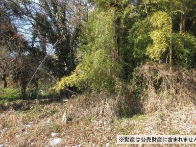 神奈川県茅ヶ崎市 香川駅16分 農地 420万円の国税庁公売物件情報 #2