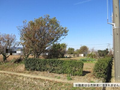 神奈川県厚木市 相武台下駅 農地 1,190万円の国税庁公売物件情報 #2