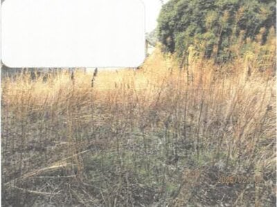 徳島県徳島市 文化の森駅19分 土地 340万円の競売物件情報 #5