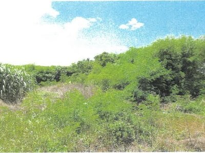 沖縄県宮古島市 土地 61万円の競売物件情報 #1