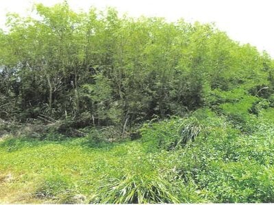 沖縄県宮古島市 土地 61万円の競売物件情報 #2