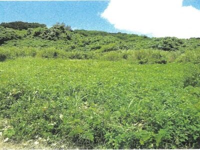 沖縄県宮古島市 土地 37万円の競売物件情報 #2