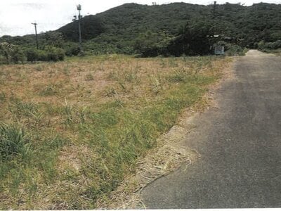 沖縄県名護市 農地 139万円の競売物件情報 #3