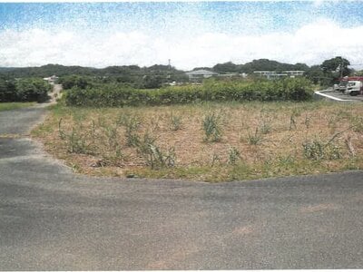 沖縄県名護市 農地 139万円の競売物件情報 #4