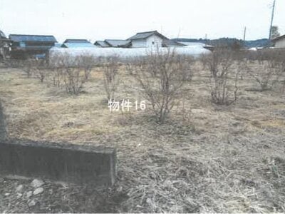 栃木県鹿沼市 楡木駅 農地 11万円の競売物件情報 #1