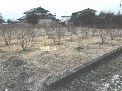 栃木県鹿沼市 楡木駅 農地 11万円の競売物件情報 #2