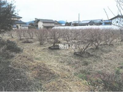 栃木県鹿沼市 楡木駅 農地 11万円の競売物件情報 #3
