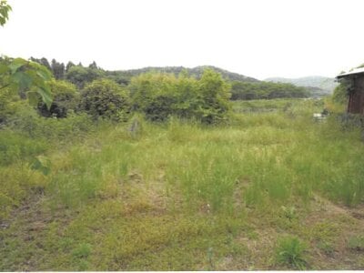 大分県国東市 土地 63万円の競売物件情報 #2