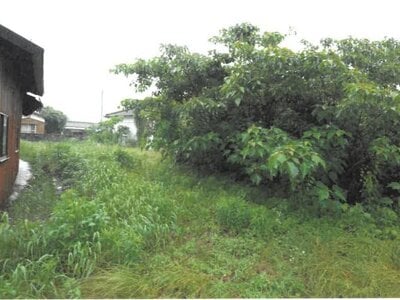 大分県国東市 土地 63万円の競売物件情報 #3