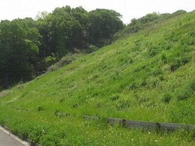 神奈川県川崎市多摩区 向ヶ丘遊園駅5分 土地 1億6,800万円の国有財産売却物件情報 #3