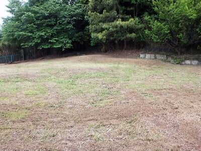 神奈川県逗子市 東逗子駅5分 農地 515万円の国有財産売却物件情報 #3