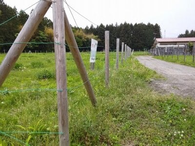 栃木県日光市 下今市駅23分 農地 406万円の国有財産売却物件情報 #1