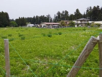 栃木県日光市 下今市駅23分 農地 406万円の国有財産売却物件情報 #2