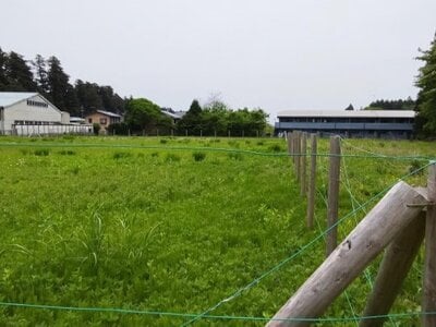 栃木県日光市 下今市駅23分 農地 406万円の国有財産売却物件情報 #3