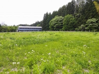 栃木県日光市 下今市駅23分 農地 406万円の国有財産売却物件情報 #4