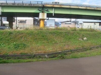 新潟県南魚沼市 六日町駅12分 農地 288万円の国有財産売却物件情報 #3