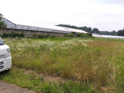 茨城県小美玉市 高浜駅 土地 174万円の官公庁公売物件情報 #2