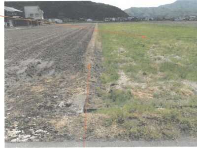 福井県越前市 しきぶ駅13分 農地 68万円の競売物件情報 #4