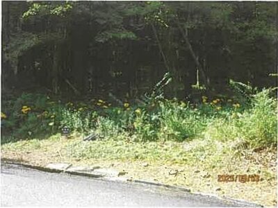 静岡県伊東市 伊豆大川駅 土地 175万円の競売物件情報 #1