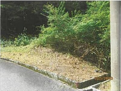 静岡県伊東市 伊豆大川駅 土地 175万円の競売物件情報 #2