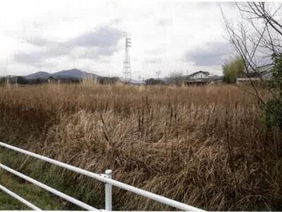 愛知県豊川市 長山駅14分 農地 349万円の競売物件情報 #11