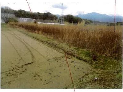 愛知県豊川市 長山駅14分 農地 349万円の競売物件情報 #2