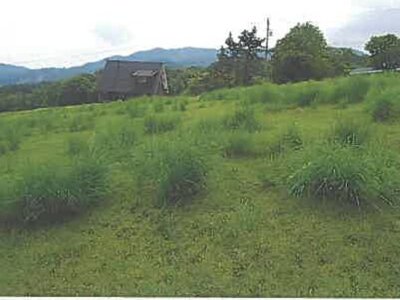 大分県由布市 南由布駅 土地 865万円の競売物件情報 #6