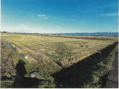 新潟県長岡市 来迎寺駅26分 農地 54万円の競売物件情報 #1