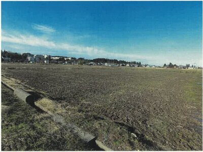 新潟県長岡市 来迎寺駅 農地 46万円の競売物件情報 #2