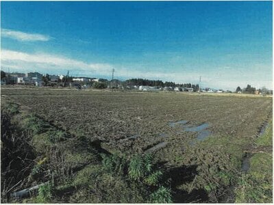 新潟県長岡市 来迎寺駅 農地 45万円の競売物件情報 #2