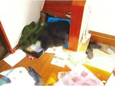 島根県松江市 玉造温泉駅16分 戸建て 213万円の競売物件情報 #24