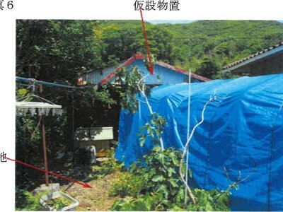 岡山県玉野市 八浜駅22分 戸建て 341万円の競売物件情報 #6