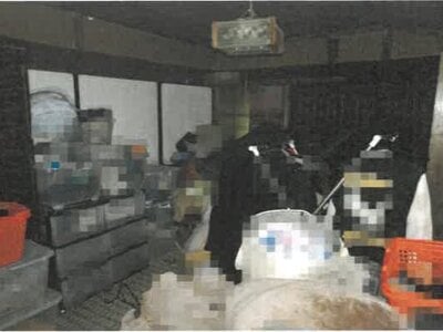 岡山県久米郡久米南町 誕生寺駅2分 戸建て 87万円の競売物件情報 #10