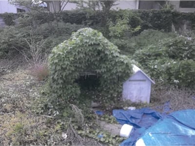山形県南陽市 宮内駅8分 戸建て 289万円の競売物件情報 #8