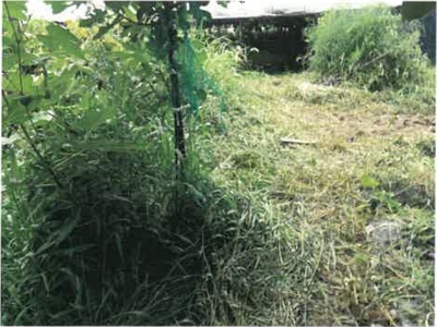(値下げ) 山形県南陽市 赤湯駅15分 戸建て 146万円の競売物件情報 #10