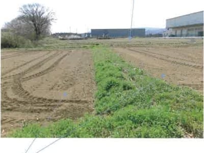 福島県双葉郡富岡町 富岡駅28分 農地 258万円の競売物件情報 #7