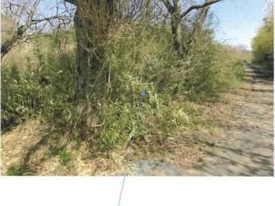 福島県双葉郡富岡町 富岡駅24分 戸建て 1,472万円の競売物件情報 #8