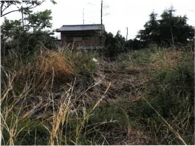 埼玉県北足立郡伊奈町 丸山駅12分 土地 328万円の競売物件情報 #4