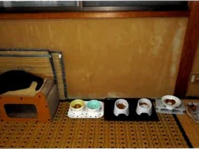 埼玉県加須市 加須駅10分 戸建て 348万円の競売物件情報 #15