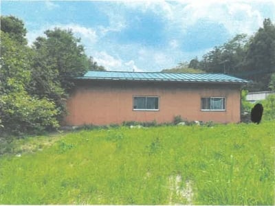 埼玉県秩父郡長瀞町 上長瀞駅7分 土地 60万円の競売物件情報 #3