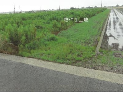 佐賀県杵島郡白石町 肥前竜王駅 農地 121万1,000円の競売物件情報 #3