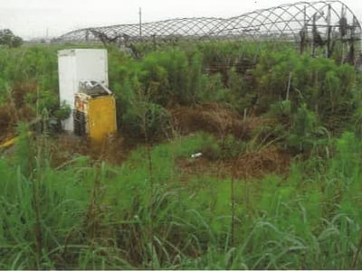 佐賀県杵島郡白石町 肥前竜王駅 農地 121万1,000円の競売物件情報 #6