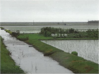 佐賀県杵島郡白石町 肥前竜王駅 農地 53万2,000円の競売物件情報 #5